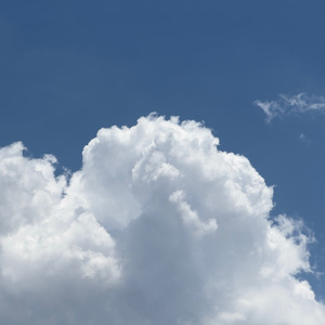 美女被❌到高潮喷出白在线观看
